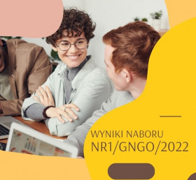 Usługi społeczne realizowane przez NGO - wyniki naboru